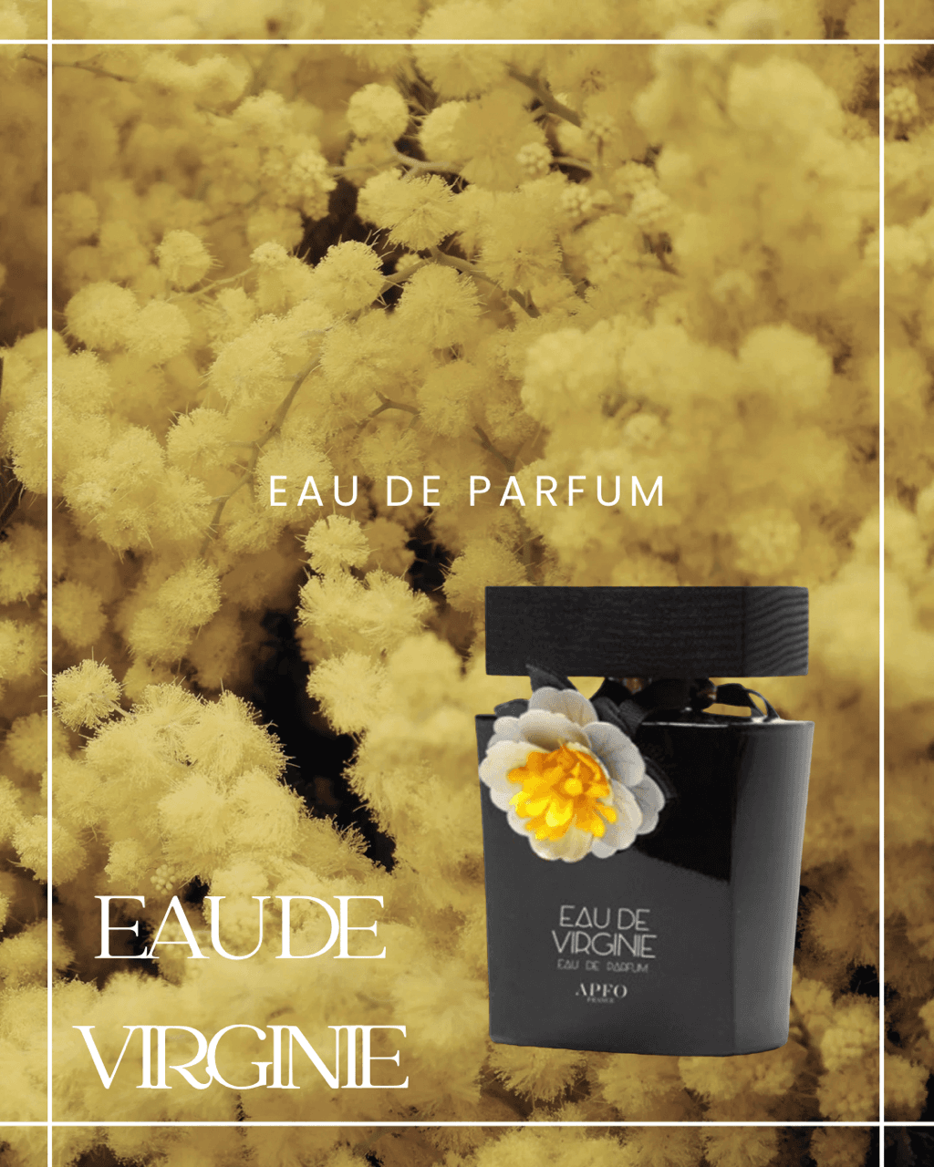 L'Eau de Virginie